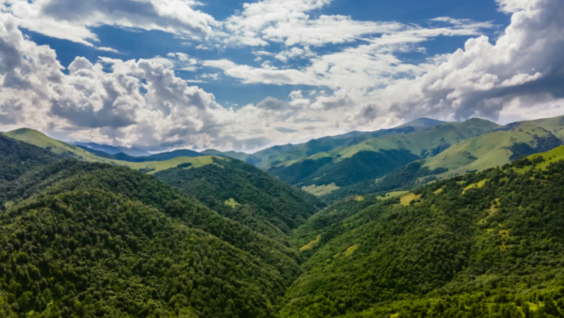 Montañas cafeteras del Huila
